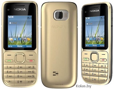 Мобильный телефон Nokia C2-01 (РСТ / UA, теплое серебро (Warm Silver))