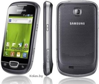Мобильный телефон Samsung GT-S5570 Galaxy mini (черный с серым (steel grey), GPS)